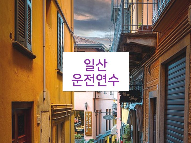 일산운전연수 후기