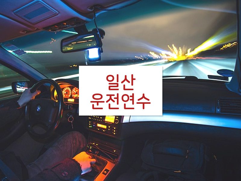 일산운전연수 후기