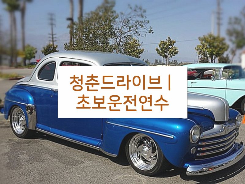 청춘드라이브 | 초보운전연수 후기