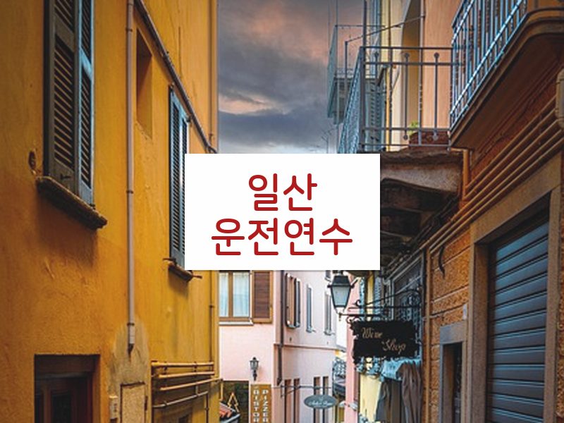 일산운전연수 후기