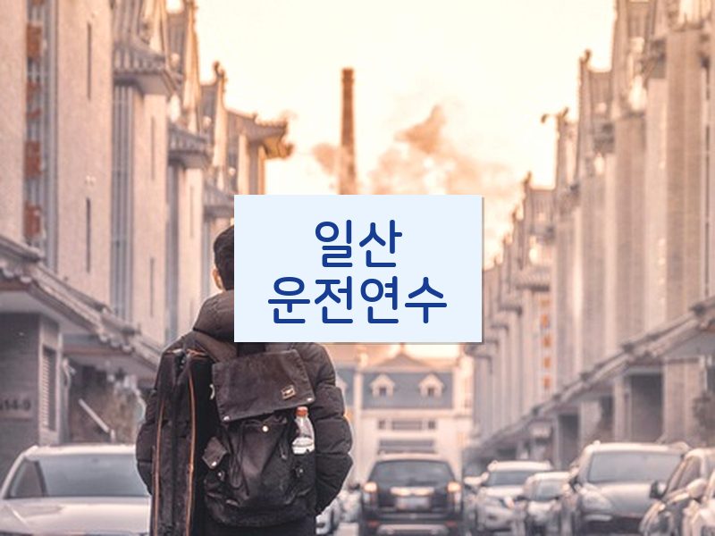 일산운전연수 후기