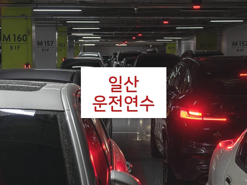 일산운전연수 후기