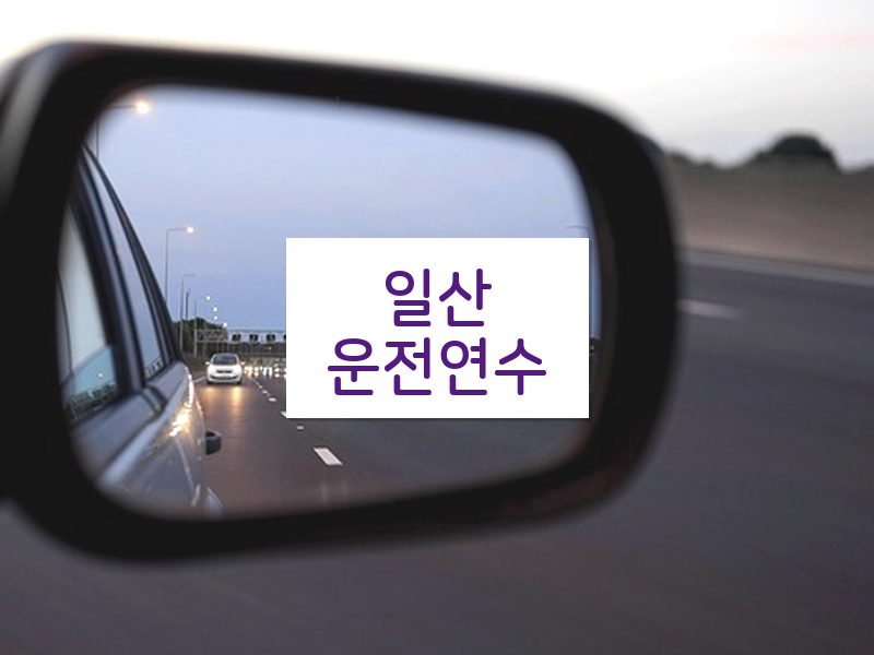 일산운전연수 후기