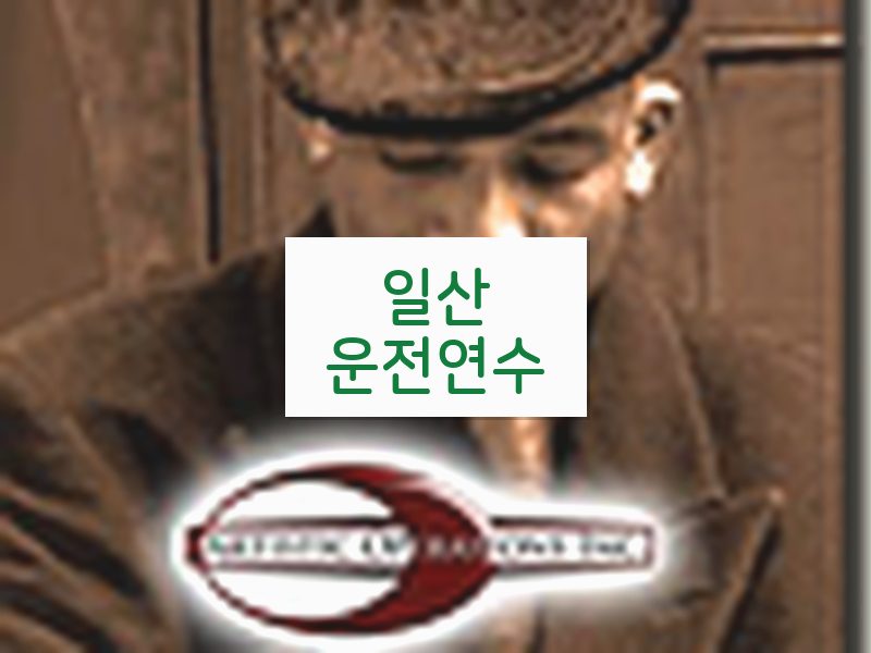 일산운전연수 후기