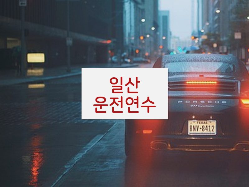 일산운전연수 후기