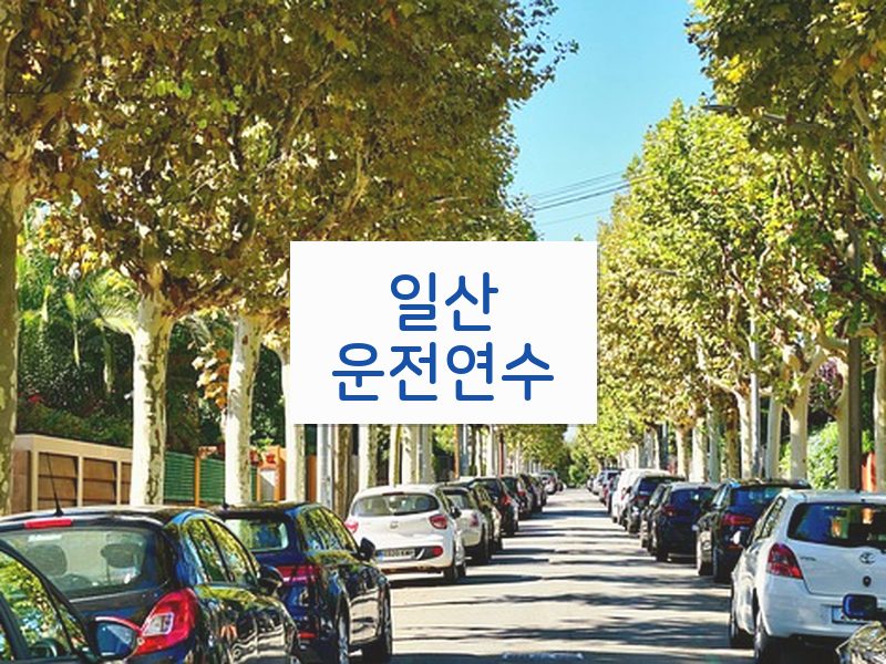 일산운전연수 후기