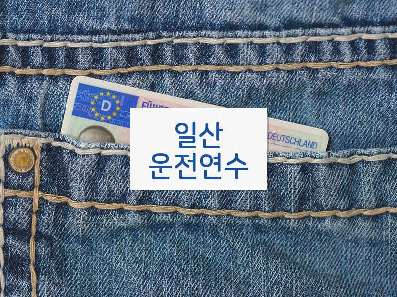 일산운전연수 후기
