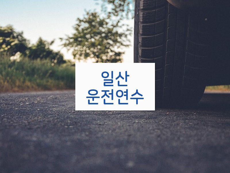 일산운전연수 후기