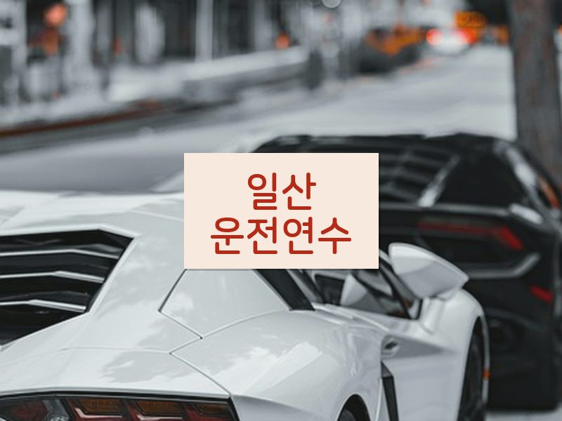 일산운전연수 후기