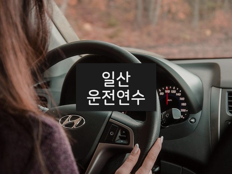 일산운전연수 후기