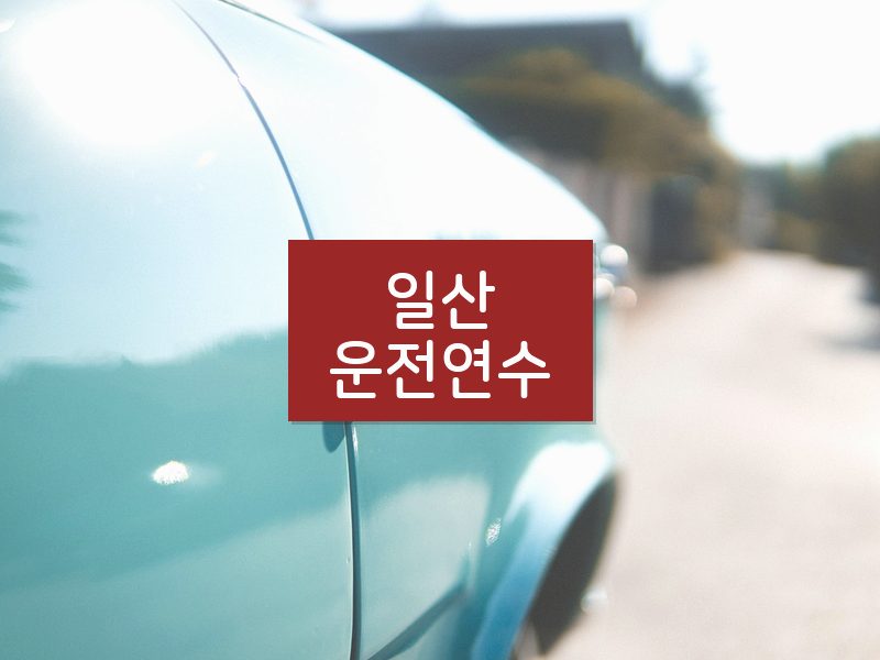 일산운전연수 후기