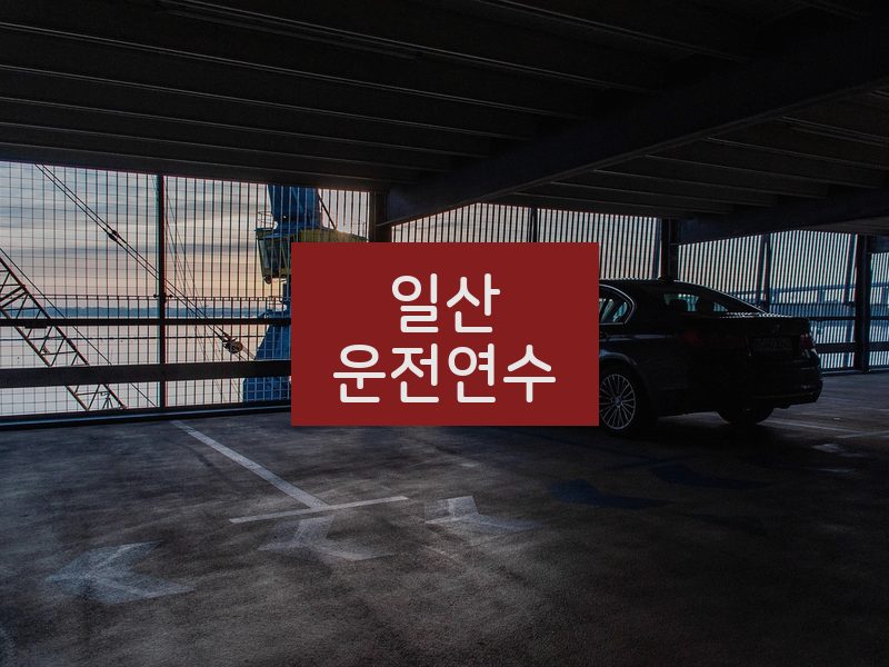 일산운전연수 후기