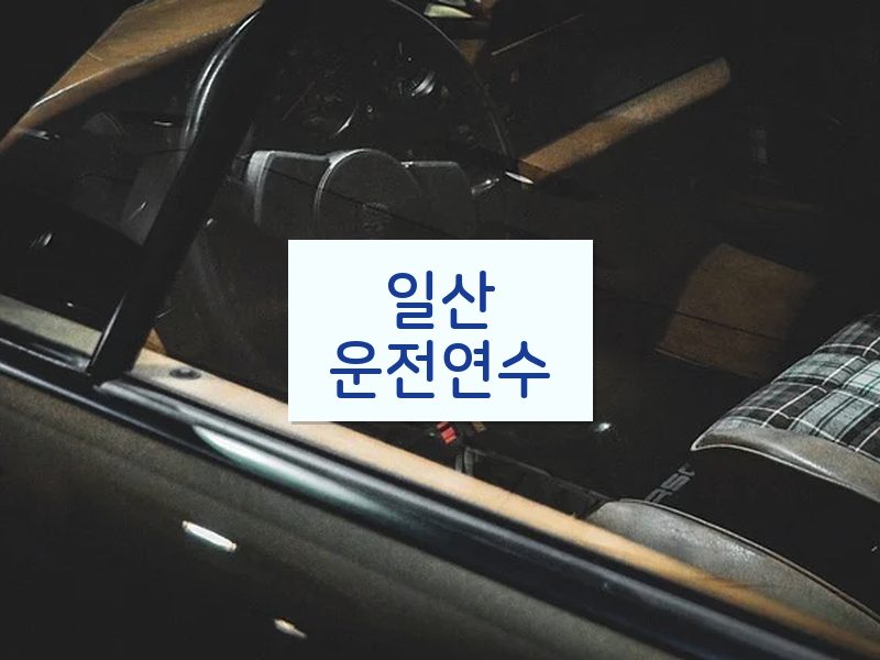 일산운전연수 후기