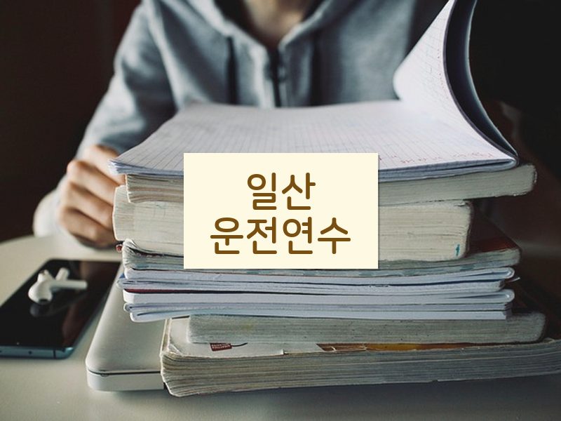 일산운전연수 후기