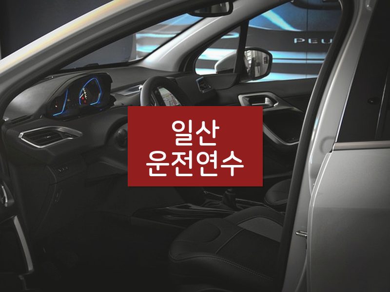 일산운전연수 후기