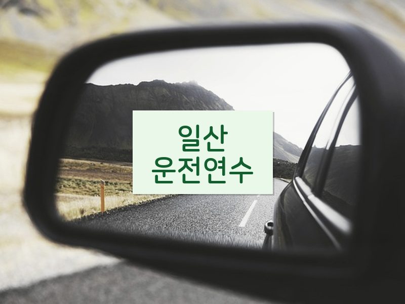일산운전연수 후기
