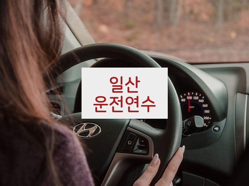 일산운전연수 후기