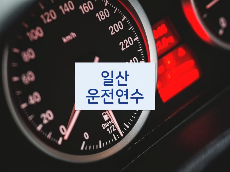 일산운전연수 후기