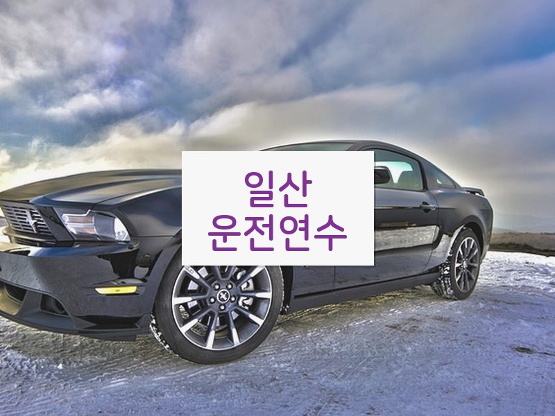 일산운전연수 후기