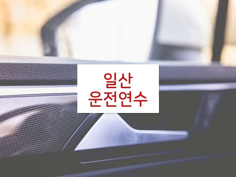 일산운전연수 후기