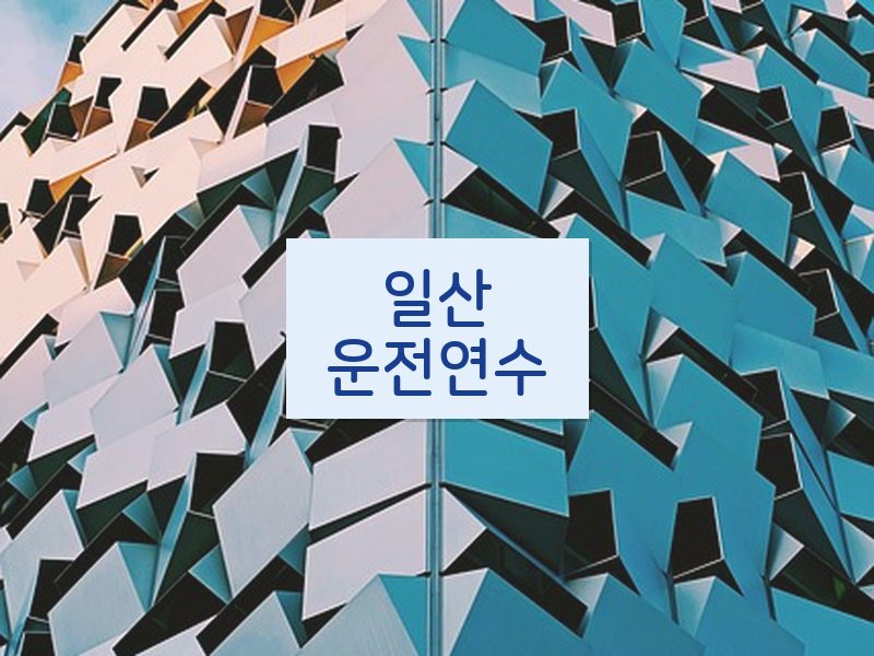 일산운전연수 후기