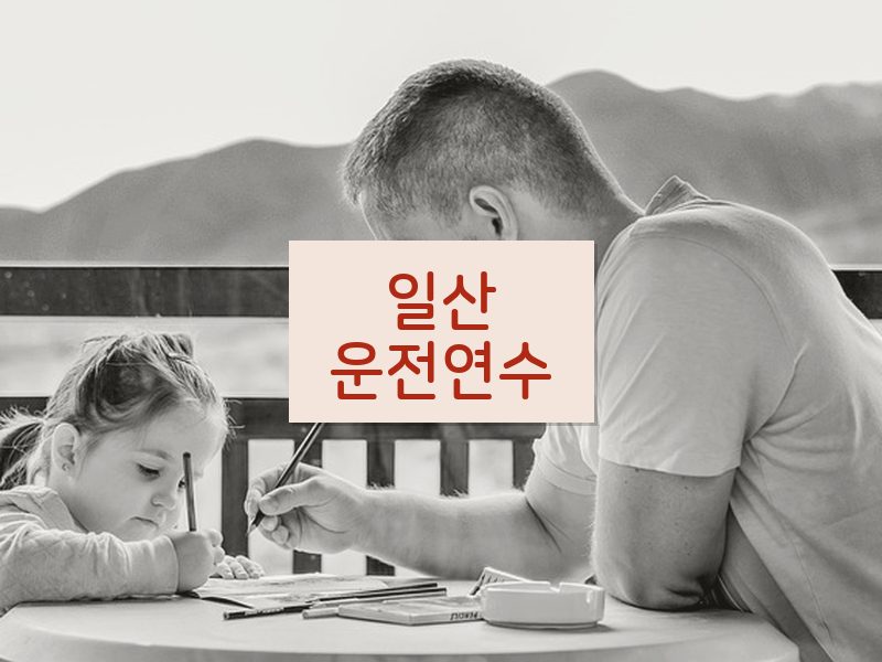 일산운전연수 후기