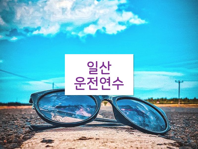 일산운전연수 후기