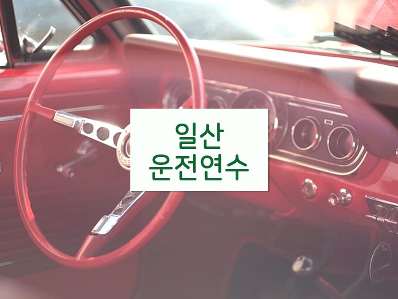 일산운전연수 후기
