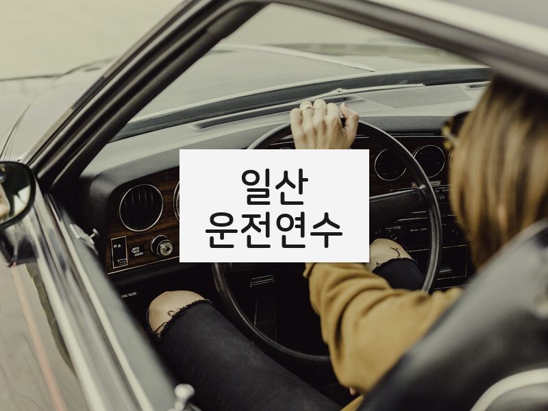 일산운전연수 후기