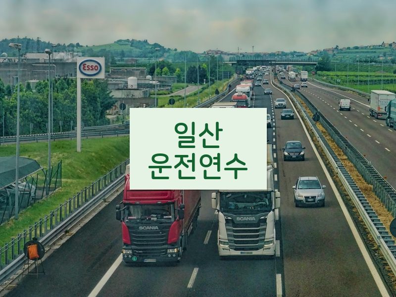 일산운전연수 후기