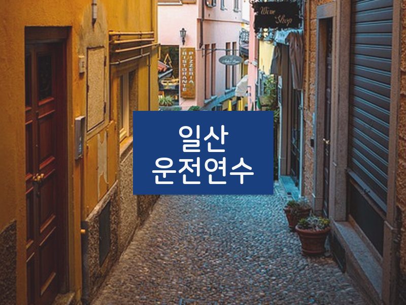 일산운전연수 후기