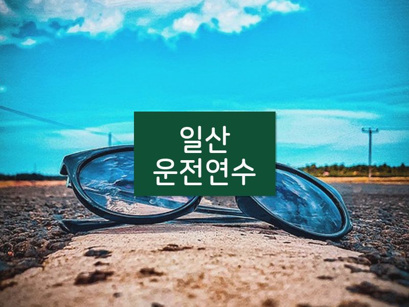 일산운전연수 후기
