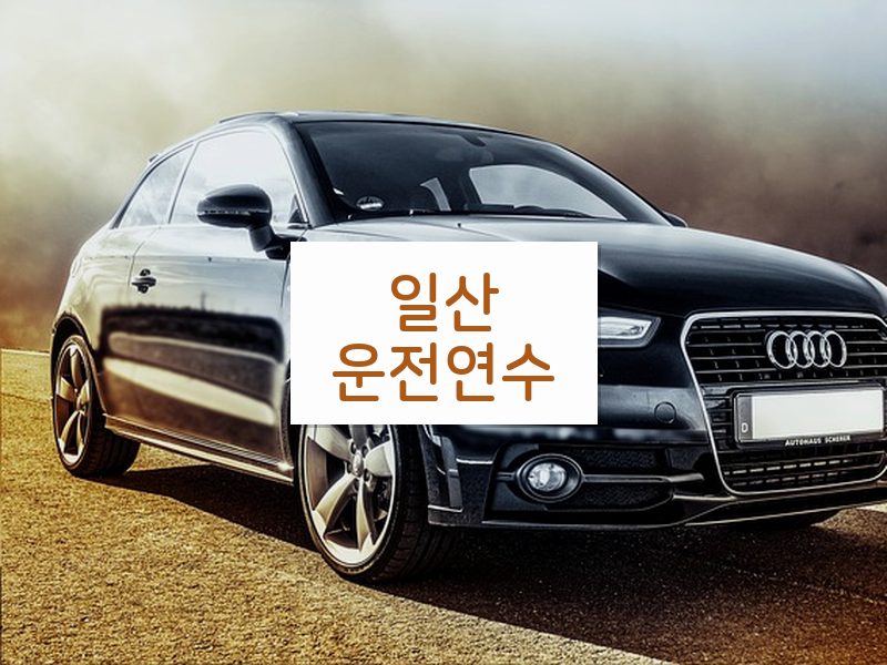 일산운전연수 후기