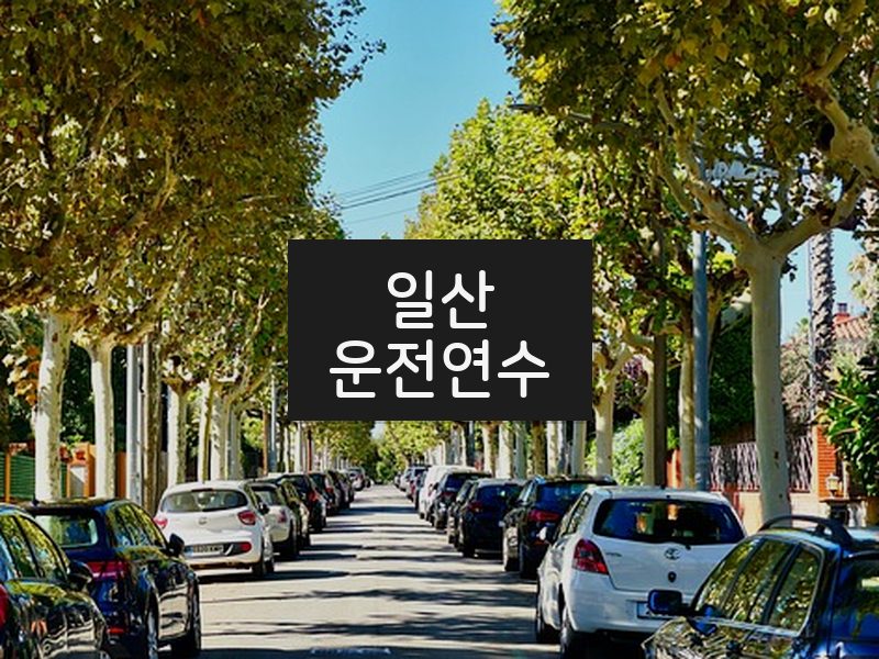 일산운전연수 후기