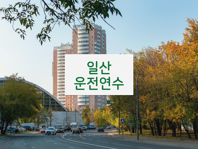 일산운전연수 후기