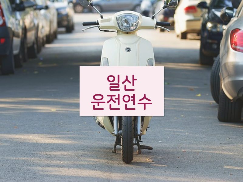 일산운전연수 후기
