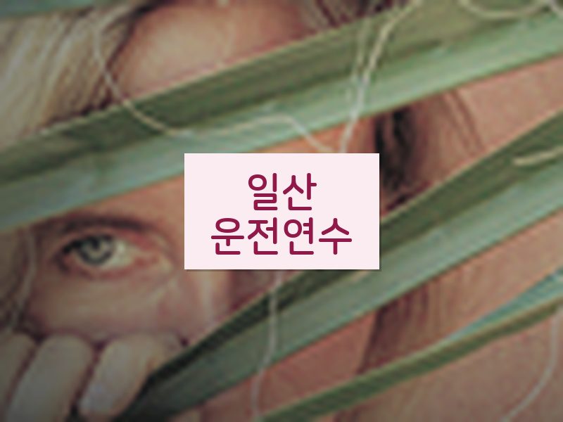 일산운전연수 후기