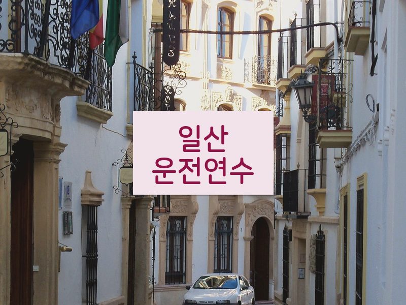 일산운전연수 후기