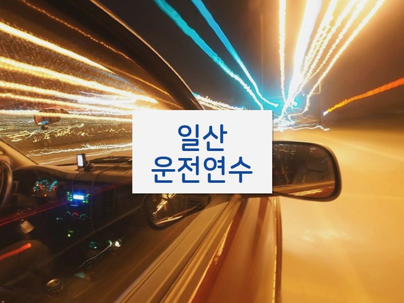 일산운전연수 후기
