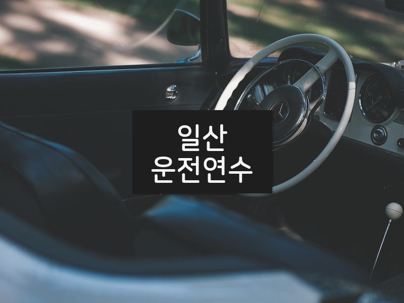 일산운전연수 후기