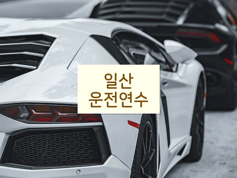 일산운전연수 후기