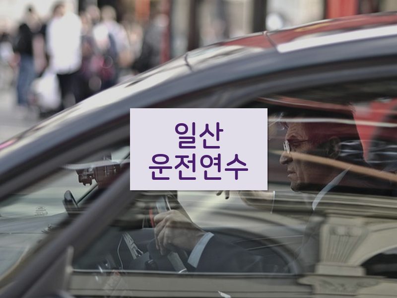 일산운전연수 후기