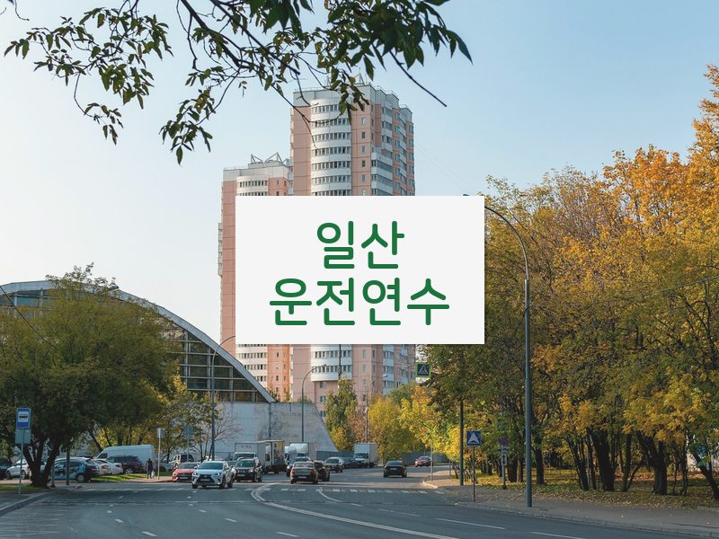 일산운전연수 후기