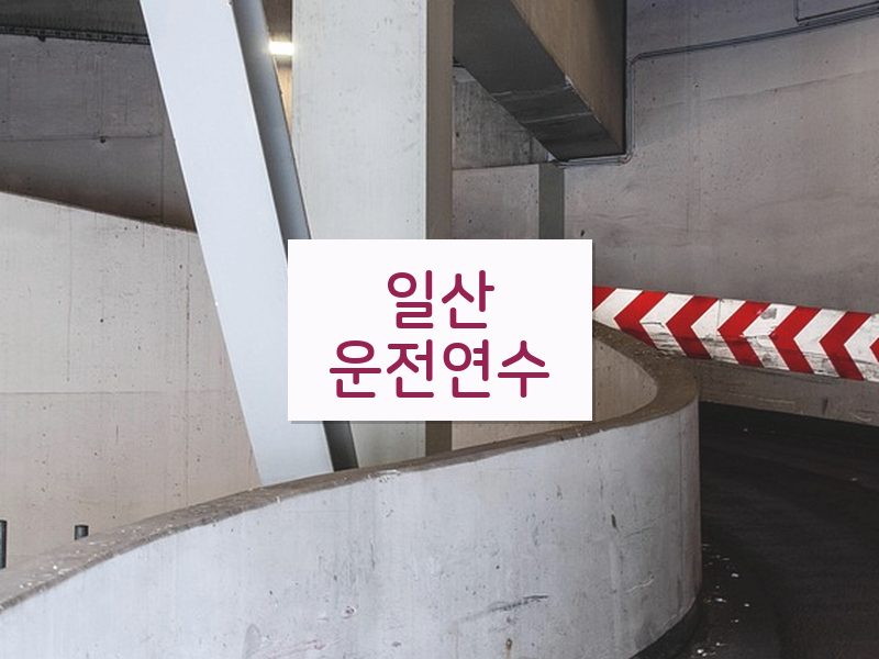 일산운전연수 후기