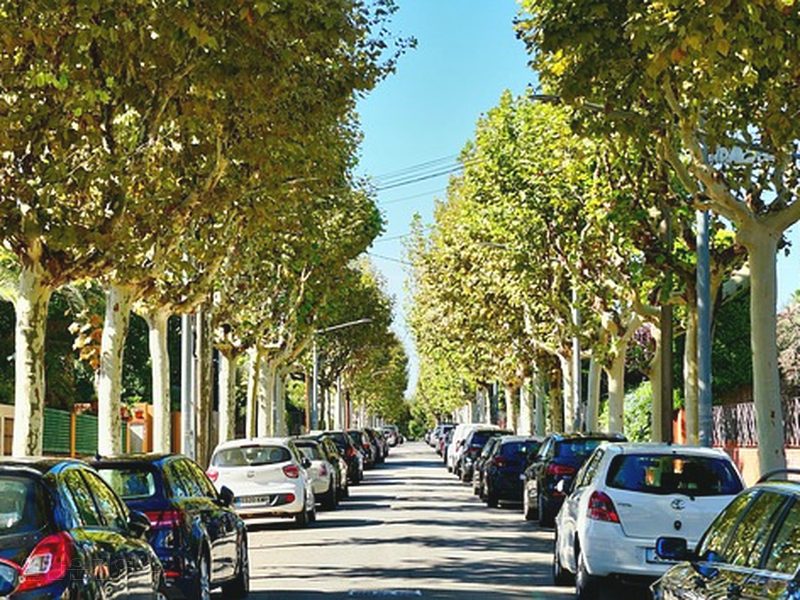 일산운전연수 후기