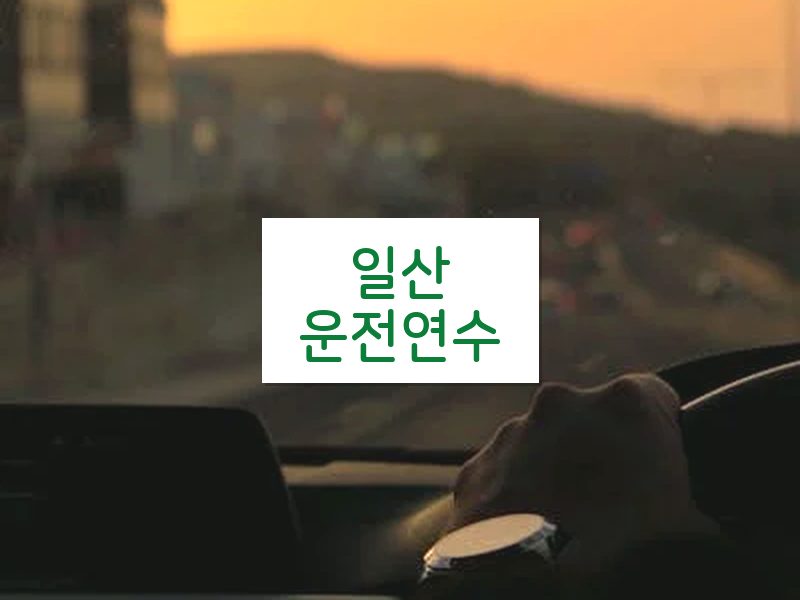 일산운전연수 후기