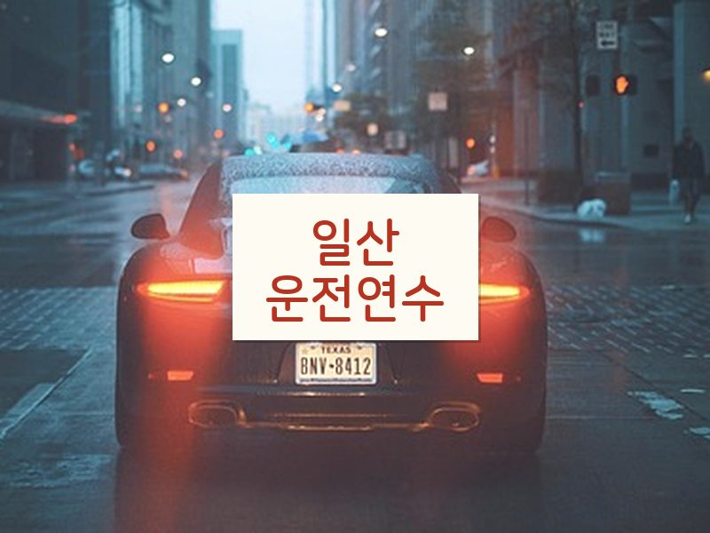 일산운전연수 후기