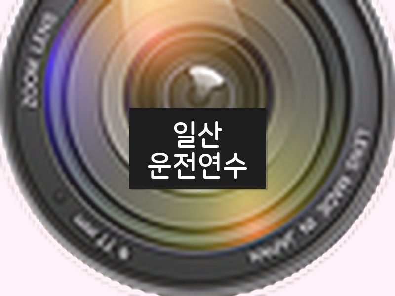 일산운전연수 후기