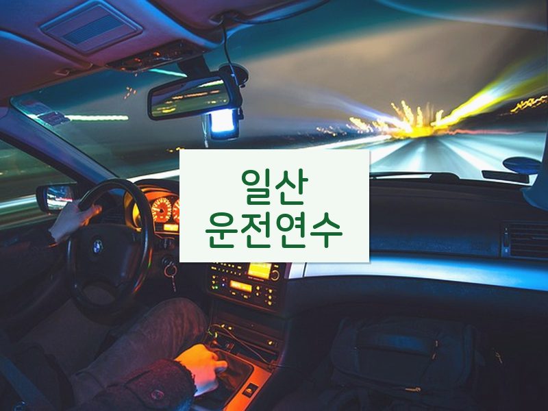 일산운전연수 후기