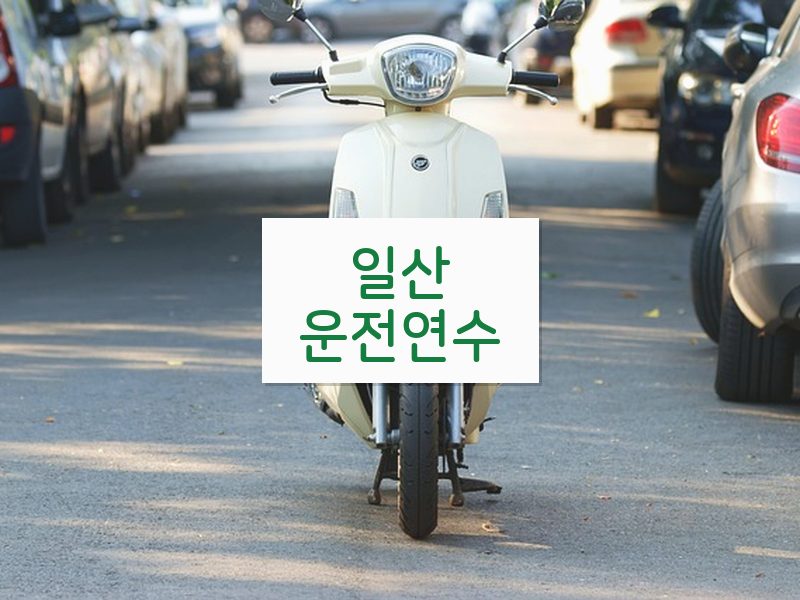 일산운전연수 후기